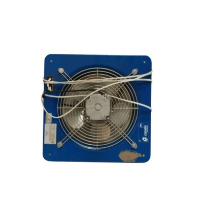 Antique blue fan