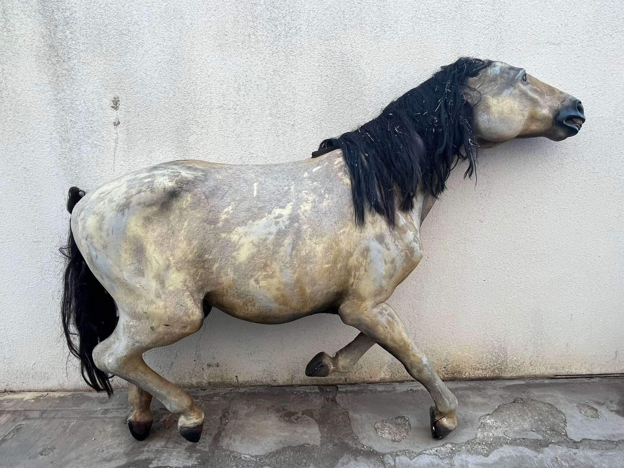 Dummy White Horse Black Mane var_39