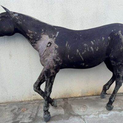 Dark Horse Dummy var_39