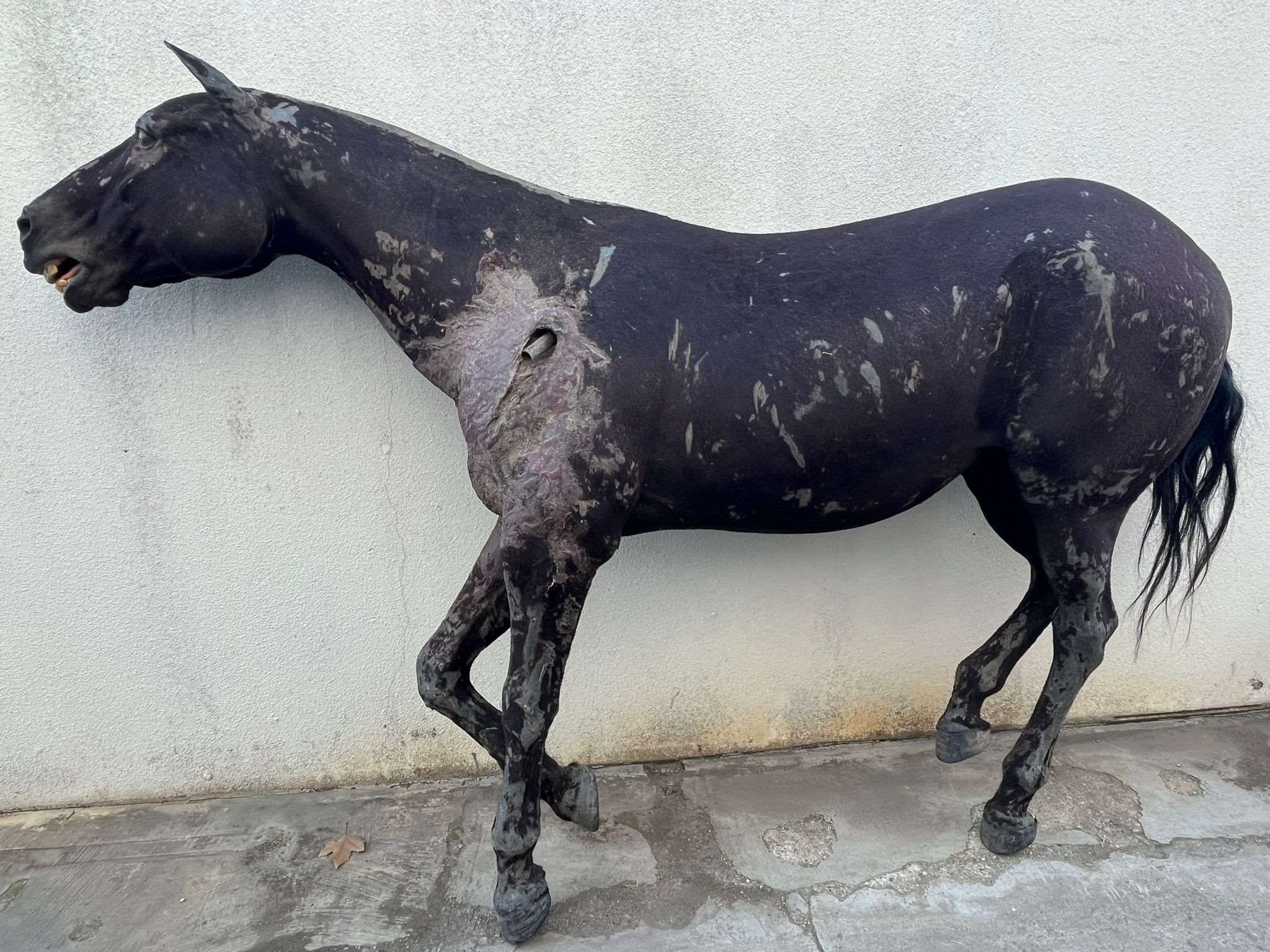 Dark Horse Dummy var_39