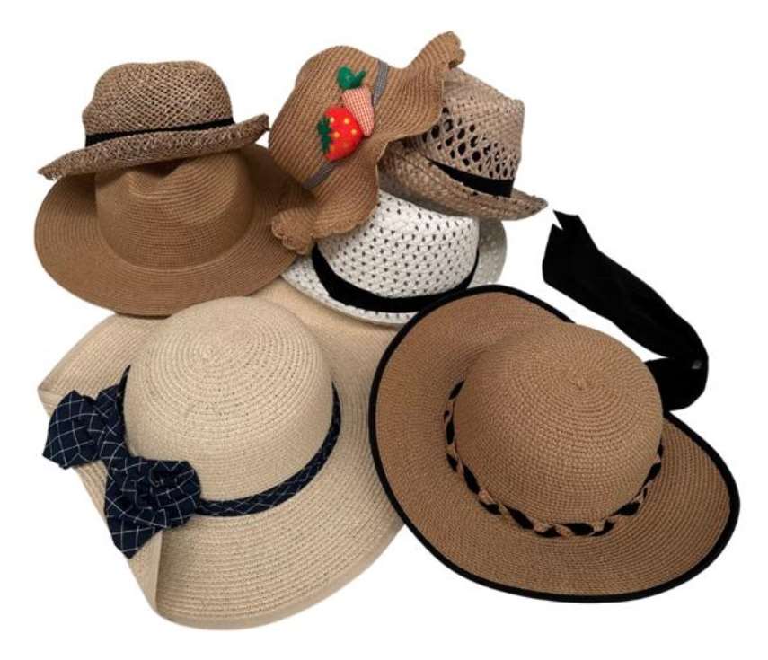 Sombreros Surtidos 06494