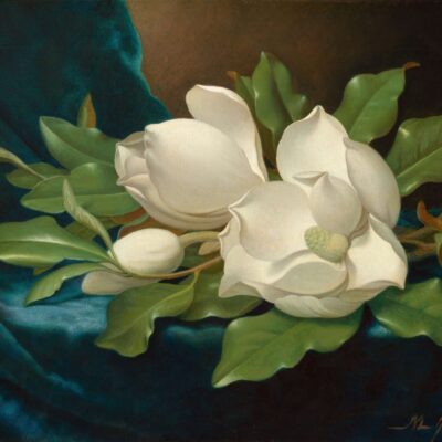 Painting by Martin Johnson Heade. 06847