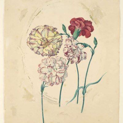 Cooper Hewitt painting. 06848