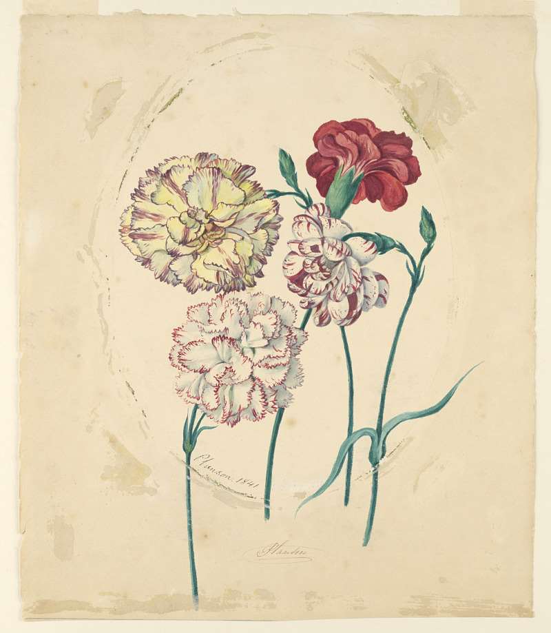 Cuadro de Cooper Hewitt. 06848