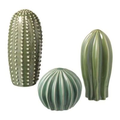Adorno cactus. Ador_90