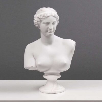 Bust of Ancient Venus. 07454
