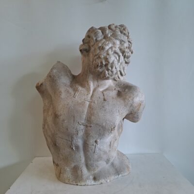 Bust of Laocoon 00859