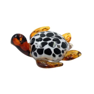 Black and White Tortoise 04912
