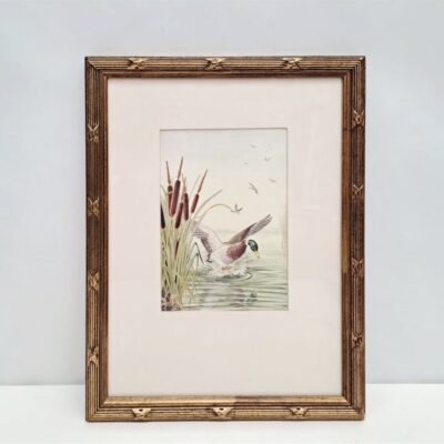 Grabado antiguo de patos 07586