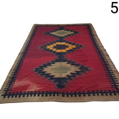 Carpet Alf_570 Size: 310 x 212cm