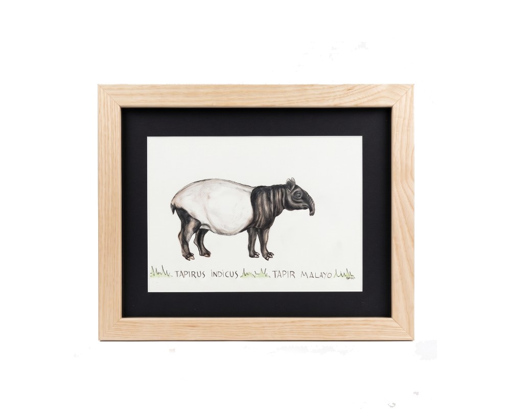 Picture part of the Fauna Ilustrada Collection, by Javier Fernández. Intellectual property and exploitation rights held by Set Services. 10958