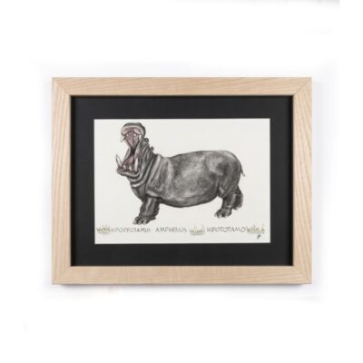 Cuadro parte de la Colección Fauna Ilustrada, obra de Javier Fernández. Propiedad intelectual y derechos de explotación pertenecientes a Set Services. 10969 alquiler para eventos, publicidad, peliculas y series