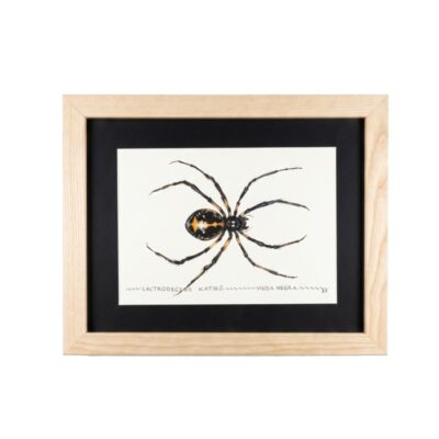 Cuadro parte de la Colección Fauna Ilustrada, obra de Javier Fernández. Propiedad intelectual y derechos de explotación pertenecientes a Set Services. 10972 alquiler para eventos, publicidad, peliculas y series