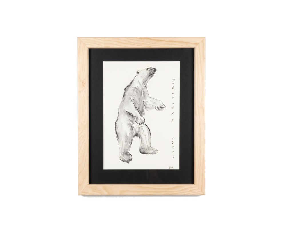 Cuadro parte de la Colección Fauna Ilustrada, obra de Javier Fernández. Propiedad intelectual y derechos de explotación pertenecientes a Set Services. 10974 alquiler para eventos, publicidad, peliculas y series