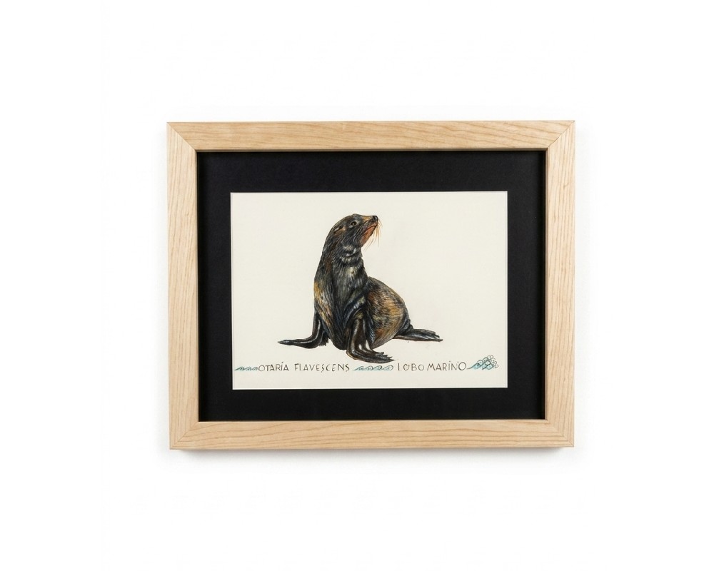 Cuadro parte de la Colección Fauna Ilustrada, obra de Javier Fernández. Propiedad intelectual y derechos de explotación pertenecientes a Set Services. 10940 Alquiler para eventos, publicidad, peliculas y series