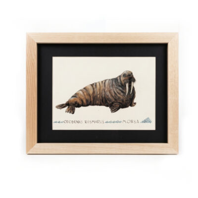 Cuadro parte de la Colección Fauna Ilustrada, obra de Javier Fernández. Propiedad intelectual y derechos de explotación pertenecientes a Set Services. 10946