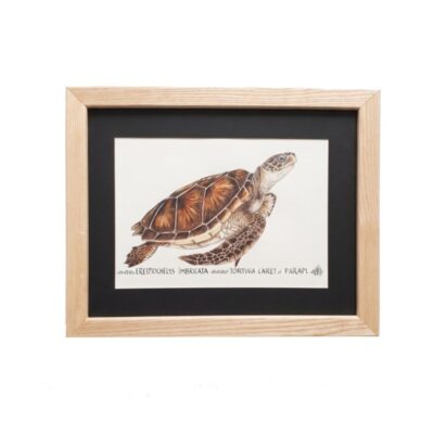 Cuadro parte de la Colección Fauna Ilustrada, obra de Javier Fernández. Propiedad intelectual y derechos de explotación pertenecientes a Set Services. 10947 alquiler para eventos, publicidad, peliculas y series