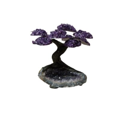 This decorative piece consists of a sculpture that recreates the shape of a bonsai tree, using amethyst crystals to represent the foliage. The trunk, with its organic and sinuous appearance, emerges from a base consisting of a natural amethyst geode, which provides stability and an earthy touch to the piece as a whole. It is an object of artistic and mineralogical design that combines natural elements with a man-made structure for ornamental purposes.