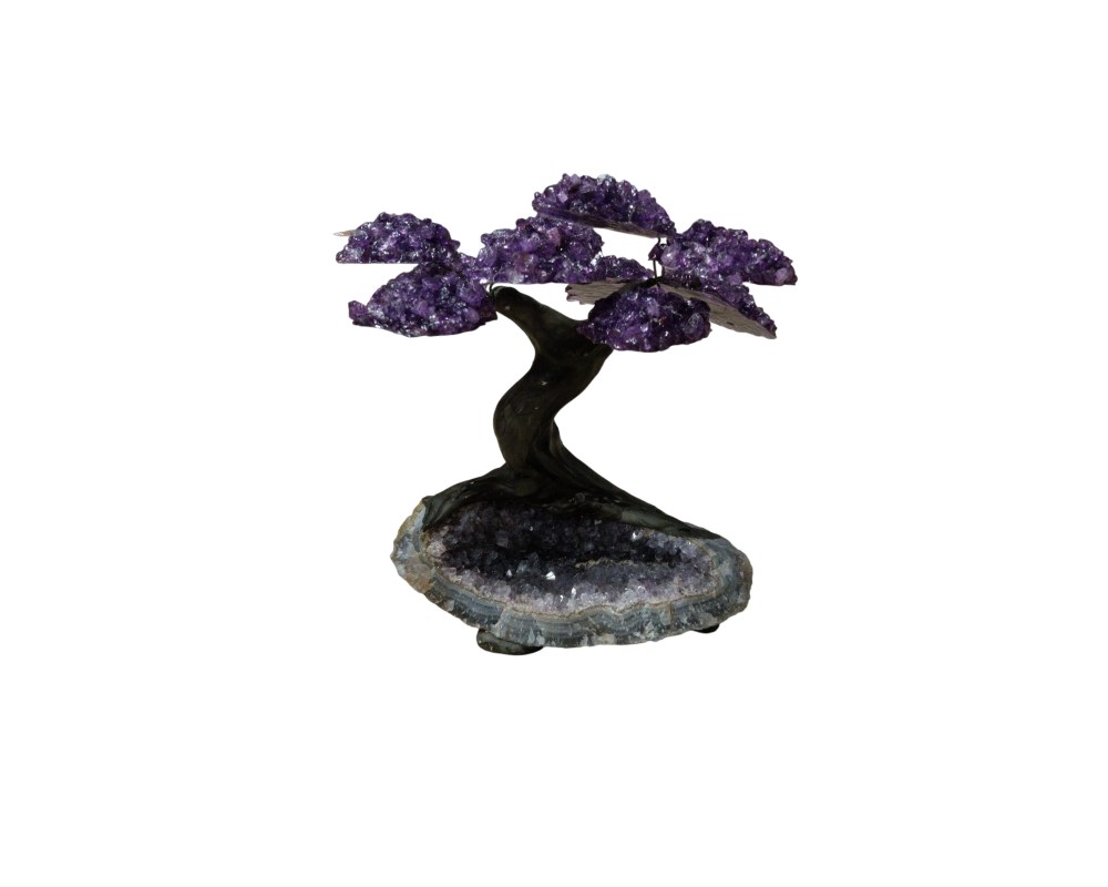 This decorative piece consists of a sculpture that recreates the shape of a bonsai tree, using amethyst crystals to represent the foliage. The trunk, with its organic and sinuous appearance, emerges from a base consisting of a natural amethyst geode, which provides stability and an earthy touch to the piece as a whole. It is an object of artistic and mineralogical design that combines natural elements with a man-made structure for ornamental purposes.