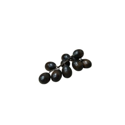 an ornamental sculpture resembling a bunch of grapes, characterised by numerous dark, oval-shaped fruits attached to a central, branched stem; available for hire for events, advertising, films and TV series