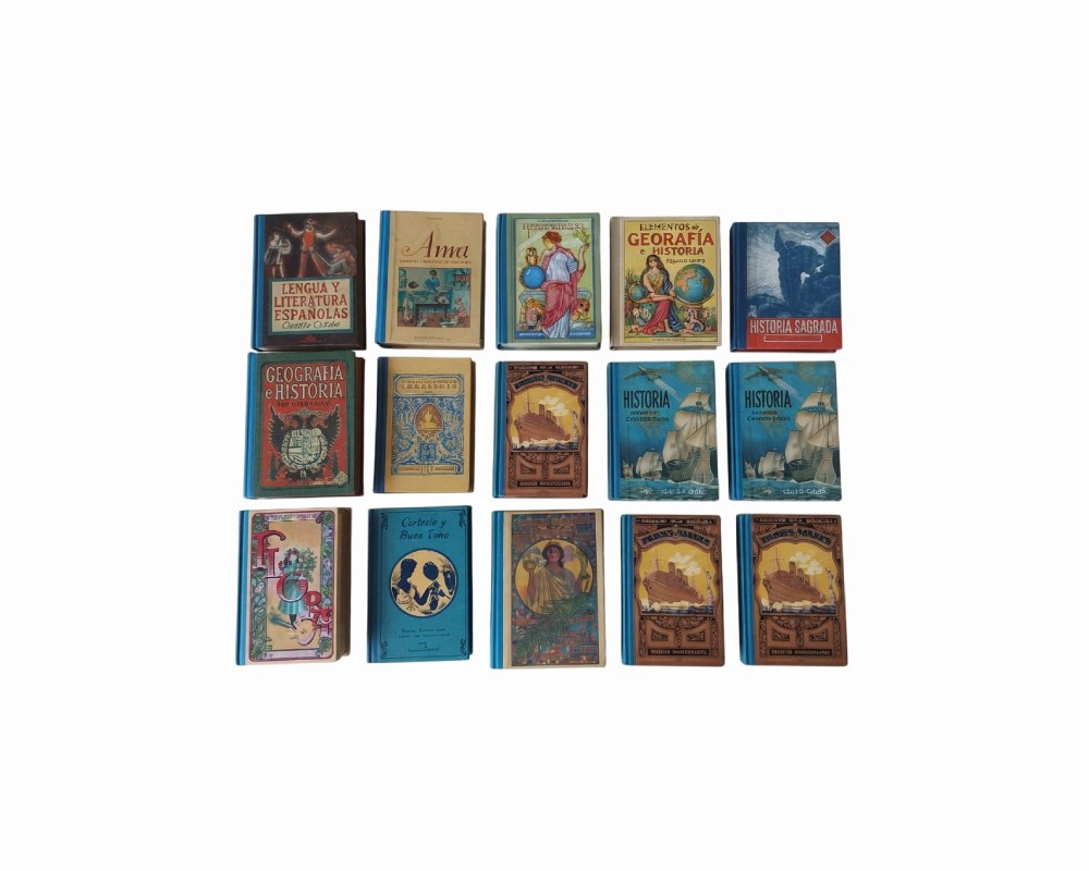 Gran Lote de Libros Escolares 12526 - Imagen 2