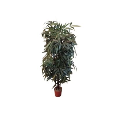 Artificial bamboo plant presented in a base pot, characterised by multiple vertical stalks and dense foliage comprising long, slender leaves in natural shades of green; available for hire for events, advertising, films and TV series