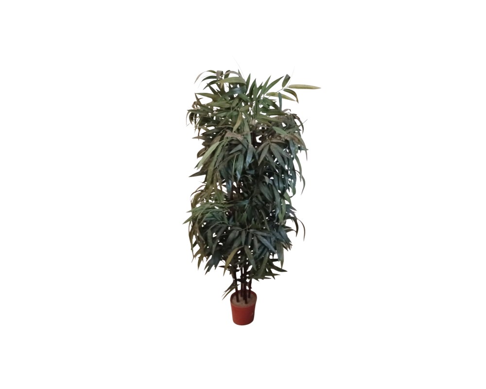Artificial bamboo plant presented in a base pot, characterised by multiple vertical stalks and dense foliage comprising long, slender leaves in natural shades of green; available for hire for events, advertising, films and TV series