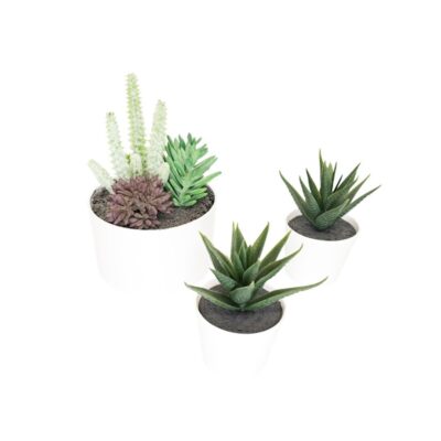 A set of three white plant pots in a minimalist design, containing a selection of artificial succulents and small cacti with detailed textures and shades of green and purple. Available for hire for events, advertising, films and TV series.
