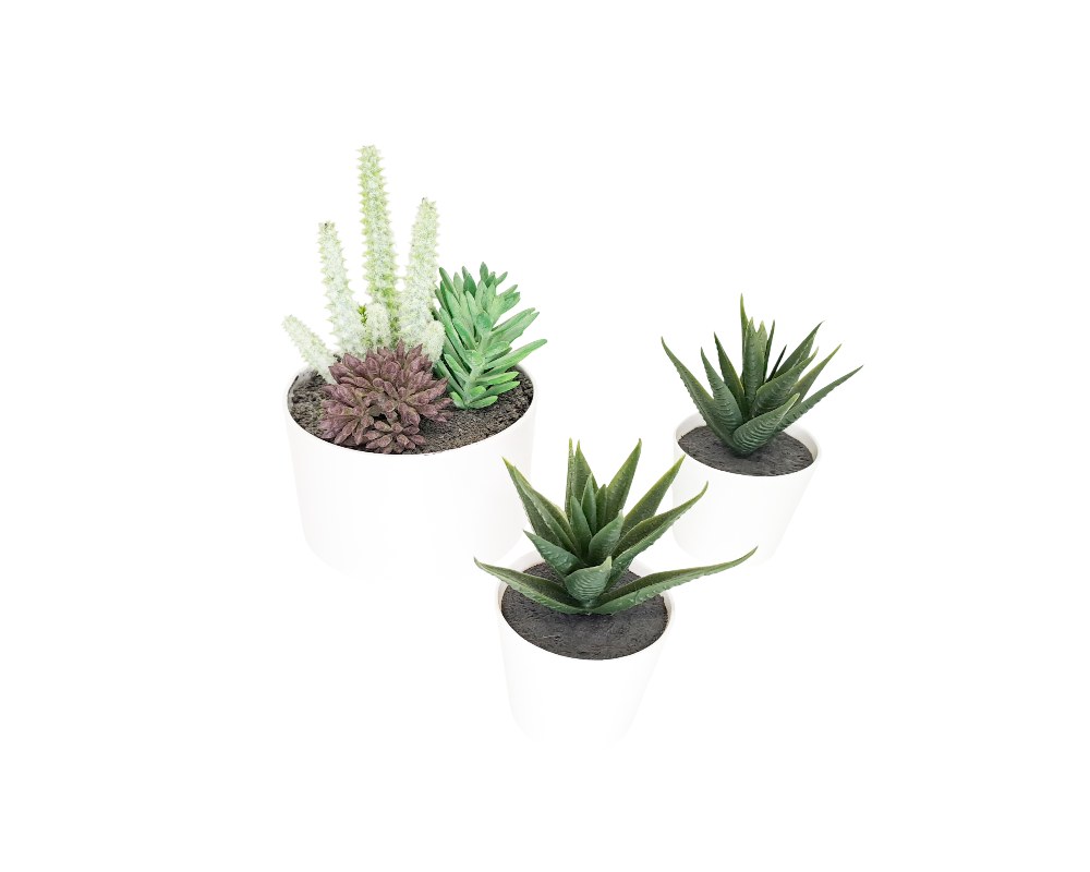 A set of three white plant pots in a minimalist design, containing a selection of artificial succulents and small cacti with detailed textures and shades of green and purple. Available for hire for events, advertising, films and TV series.