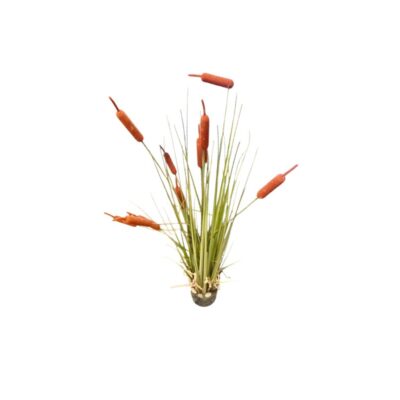 A decorative artificial arrangement comprising fine blades of grass and distinctive cylindrical, reddish-brown spikes that resemble riverbank reeds; available for hire for events, advertising, films and TV series