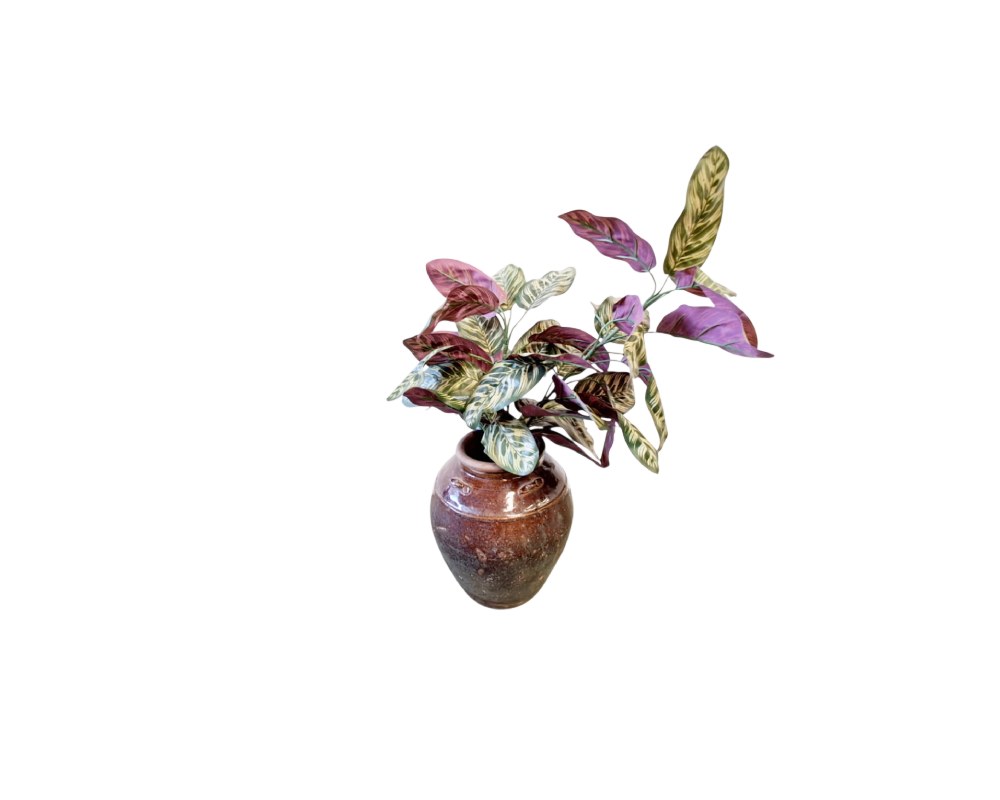 arreglo de planta artificial de tipo Calathea presentado en un jarrón de cerámica rústico con acabado texturizado en tonos marrones, caracterizado por sus hojas ovaladas y vistosas con patrones multicolores en tonos verdes y violáceos alquiler para eventos, publicidad, peliculas y series