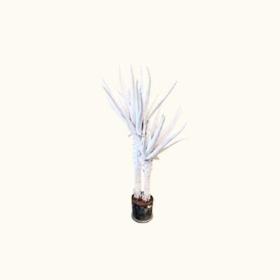 A decorative artificial plant with a cutting-edge design, presented in a base pot, characterised by its two textured trunks and upward-growing foliage of elongated, pointed leaves, all in a solid white colour; available for hire for events, advertising, films and TV series
