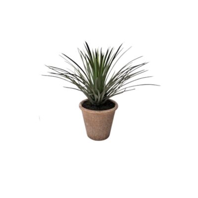 Ornamental artificial plant presented in a pot with a textured, earthy-coloured finish, characterised by dense foliage consisting of slender, elongated, pointed leaves that spread out in the shape of a natural fir tree; available for hire for events, advertising, films and TV series