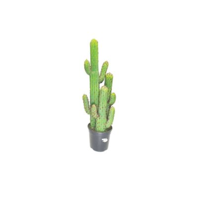 A tall artificial cactus displayed in a dark-coloured pot, characterised by a ribbed main trunk and numerous side branches featuring tiny spines and reddish details; available for hire for events, advertising, films and TV series