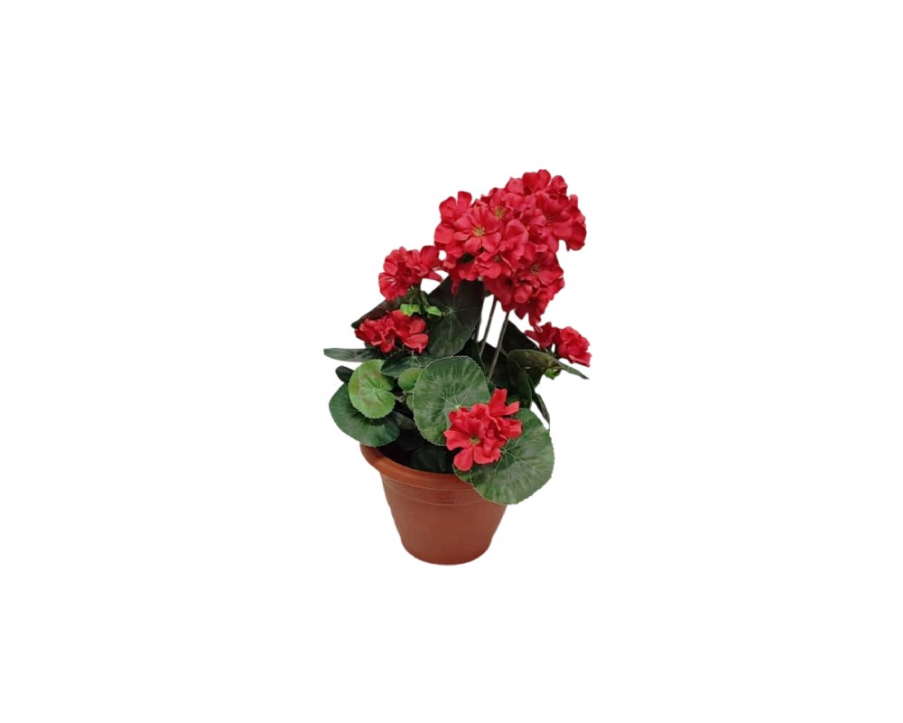 Artificial geranium plant presented in a traditional terracotta pot, characterised by its striking deep red flowers and rounded leaves with scalloped edges; available for hire for events, advertising, films and TV series