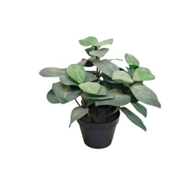 planta artificial decorativa presentada en una maceta base de color oscuro, caracterizada por su follaje denso compuesto por hojas ovaladas de tonos verdes con sutiles matices claros alquiler para eventos, publicidad, peliculas y series