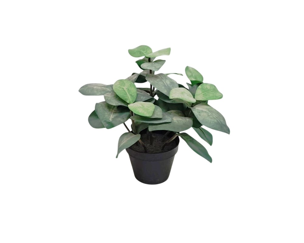 Decorative artificial plant presented in a dark-coloured pot, characterised by its dense foliage consisting of oval leaves in shades of green with subtle lighter hues; available for hire for events, advertising, films and TV series