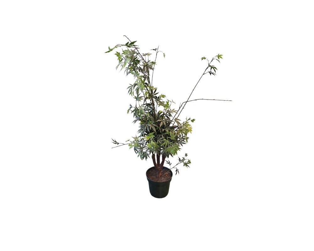 Set of Decorative Artificial Potted Plants 01857 - Image 3