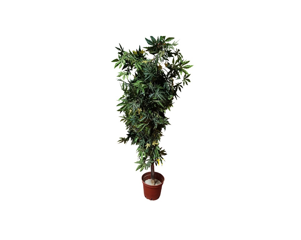 Set of Decorative Artificial Potted Plants 01857 - Image 4