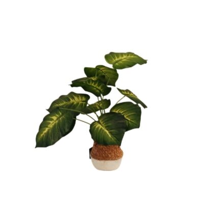 Decorative artificial plant presented in a two-tone pot with a textured base, characterised by its broad, oval-shaped leaves and prominent veins in shades of green and lighter tones; available for hire for events, advertising, films and TV series