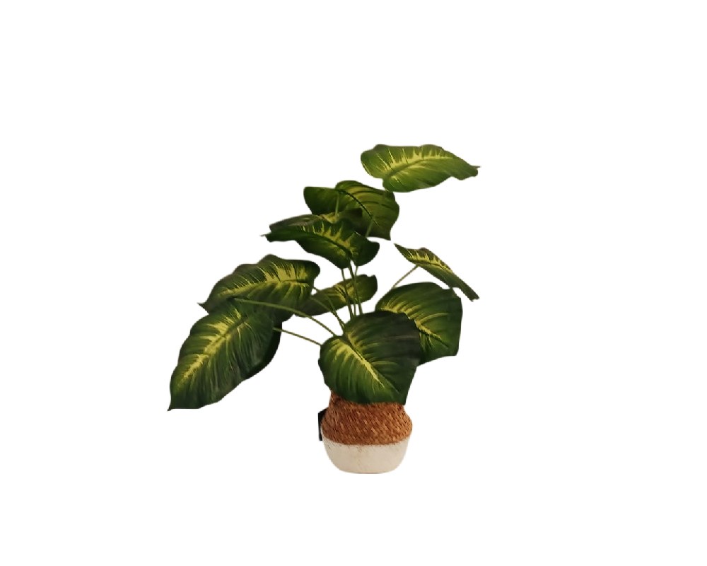 Decorative artificial plant presented in a two-tone pot with a textured base, characterised by its broad, oval-shaped leaves and prominent veins in shades of green and lighter tones; available for hire for events, advertising, films and TV series
