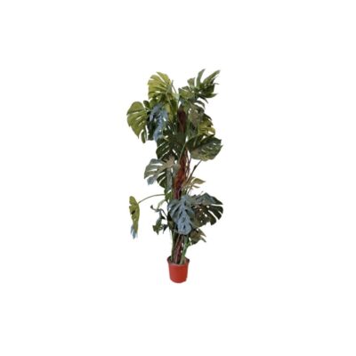 Artificial Monstera-style plant, characterised by its distinctive foliage with split leaves arranged along a central stem with a rustic texture, all presented in a base pot for hire for events, advertising, films and TV series