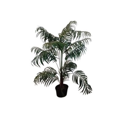 Decorative artificial palm tree presented in a base pot, characterised by an open, leafy design comprising multiple fronds of finely divided leaves in natural shades of green; available for hire for events, advertising, films and TV series
