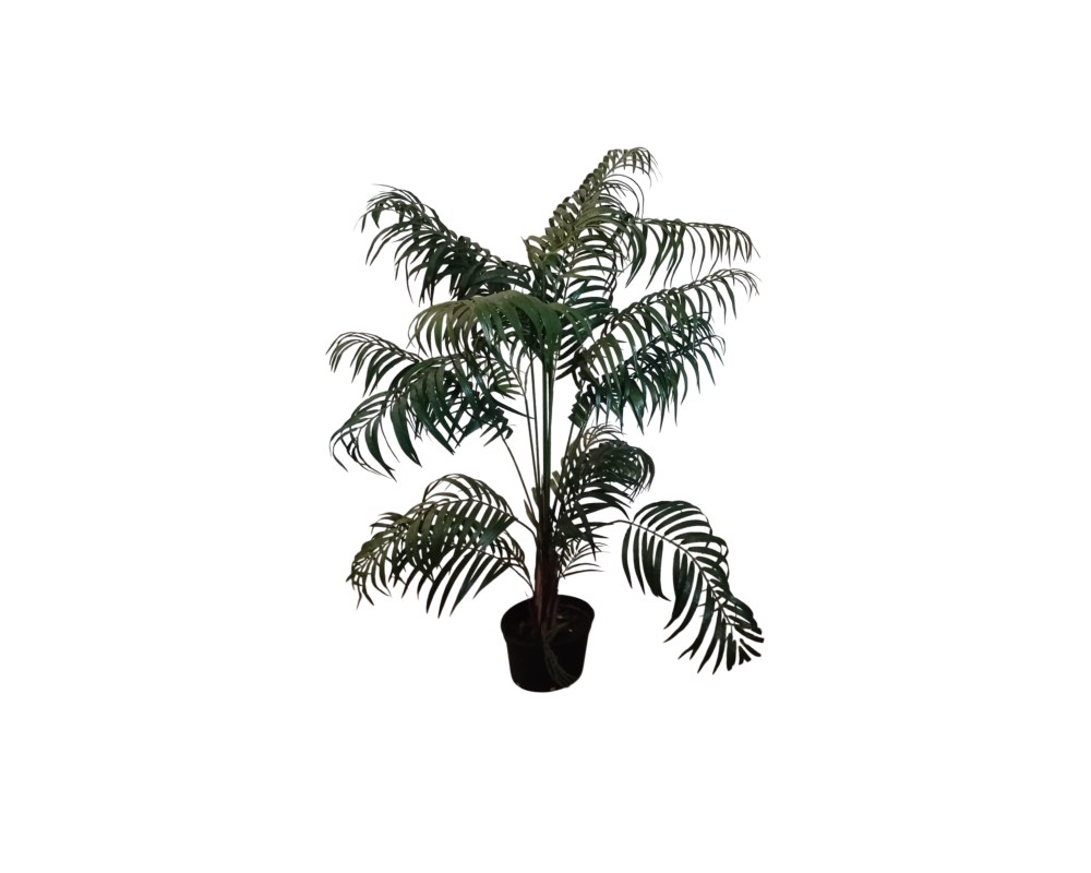 Decorative artificial palm tree presented in a base pot, characterised by an open, leafy design comprising multiple fronds of finely divided leaves in natural shades of green; available for hire for events, advertising, films and TV series